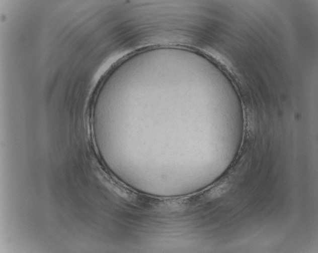 X0000074341078200609152116