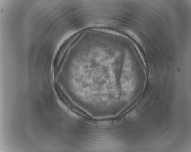 X0000074341080200609152116