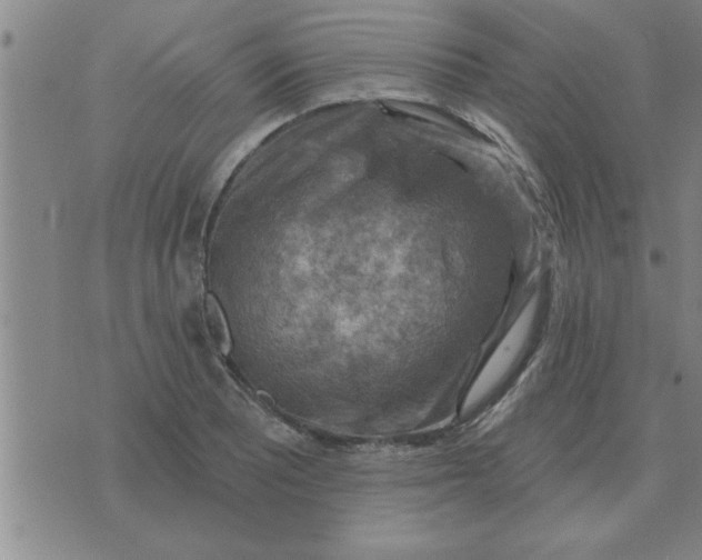 X0000074341081200609152116