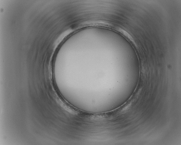 X0000074341082200609152116