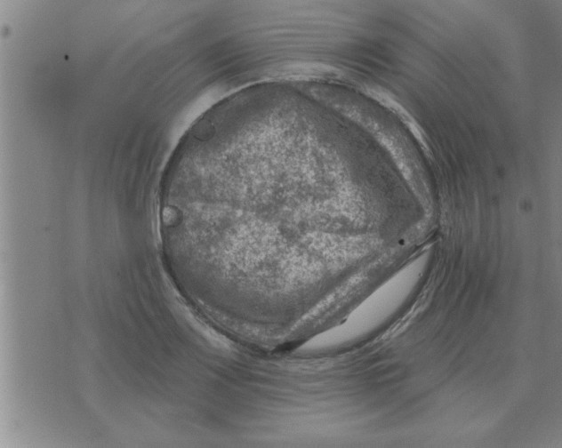 X0000074341083200609152116