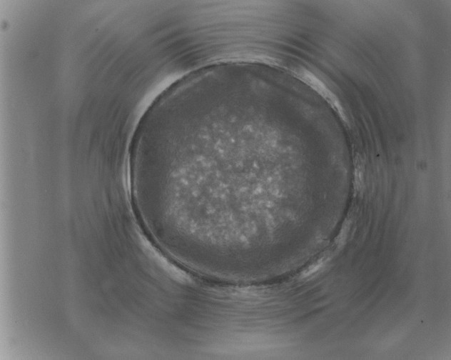 X0000074341084200609152116