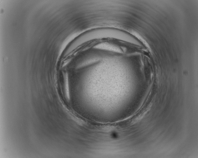 X0000074341085200609152116