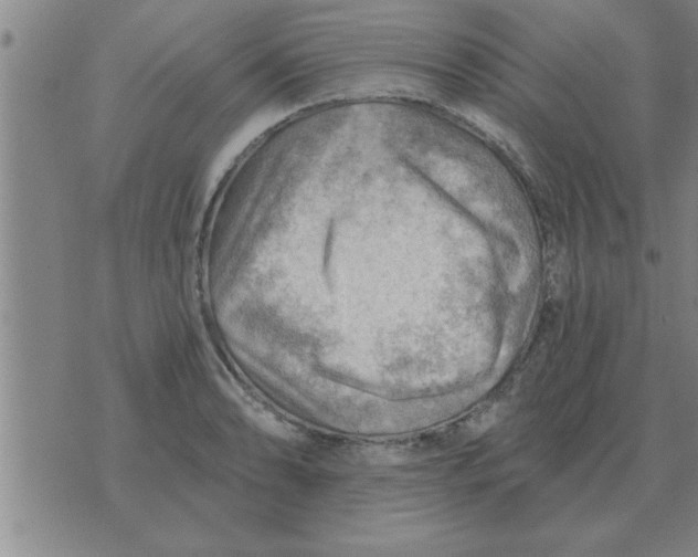 X0000074341086200609152116