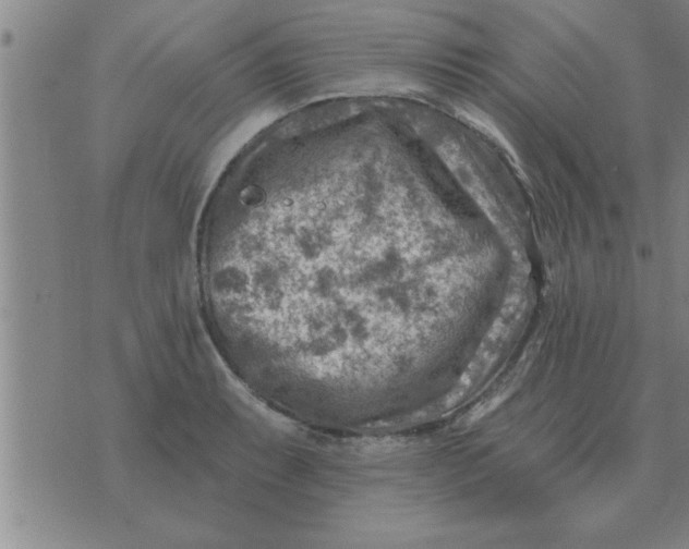 X0000074341087200609152116