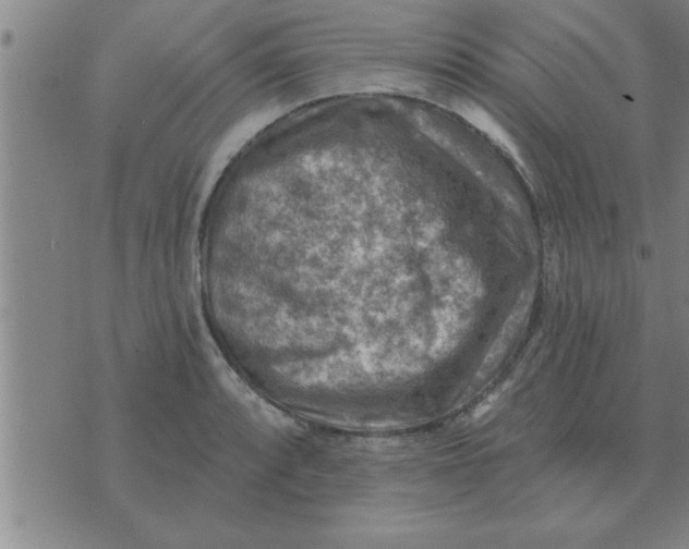 X0000074341088200609152116