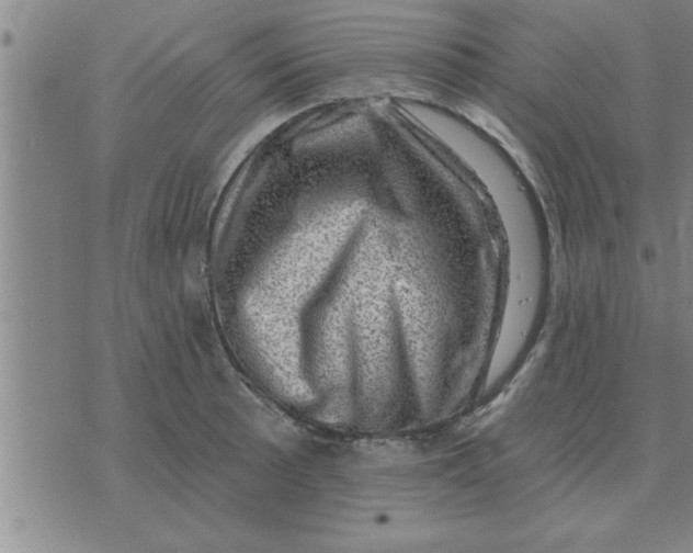 X0000074341089200609152116