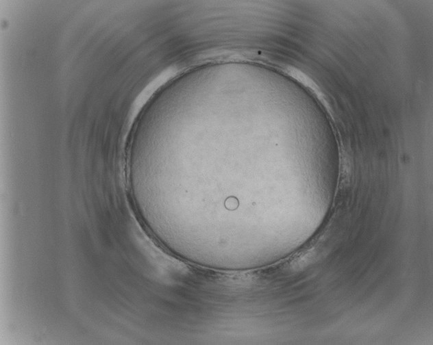 X0000074341090200609152116