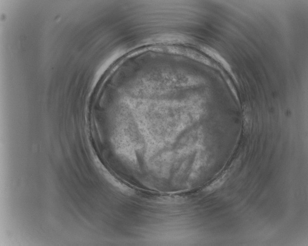 X0000074341091200609152116