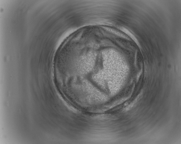 X0000074341093200609152116