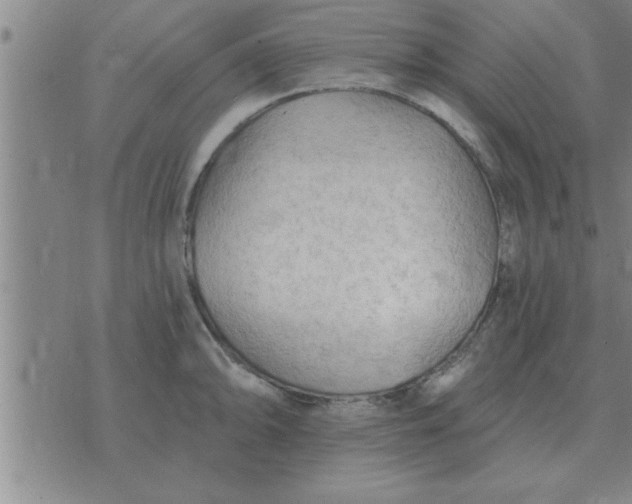 X0000074341094200609152116