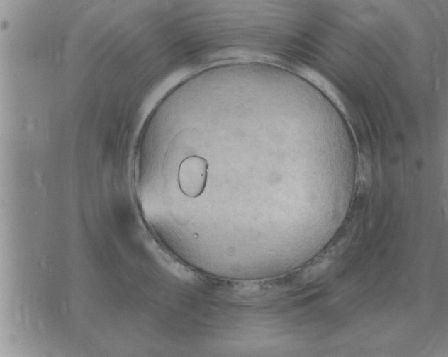 X0000074341098200609152116