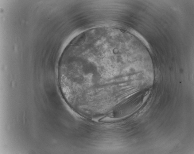 X0000074341099200609152116