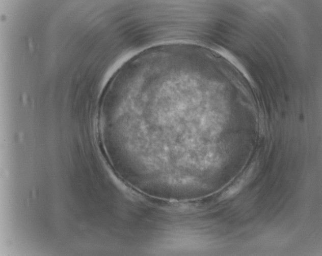 X0000074341101200609152116