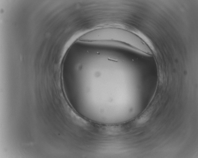 X0000074341102200609152116