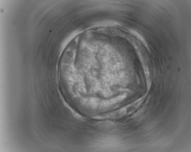 X0000074341103200609152116