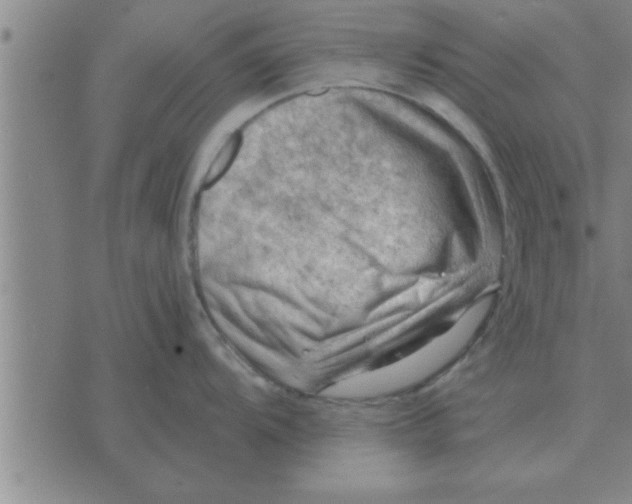 X0000074341104200609152116