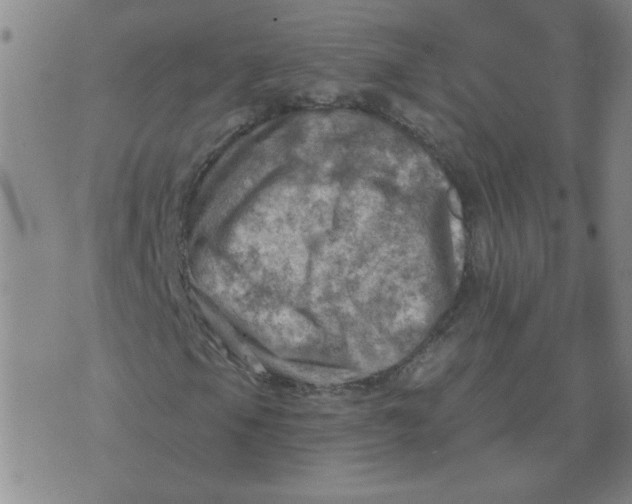 X0000074341105200609152115