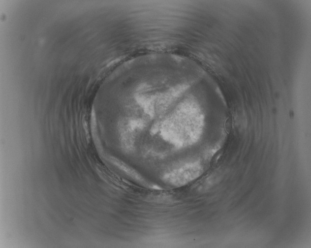 X0000074341106200609152115