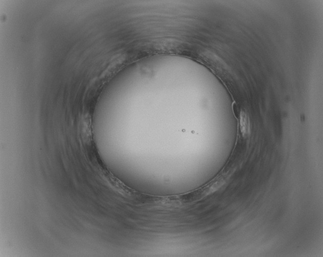 X0000074341107200609152115