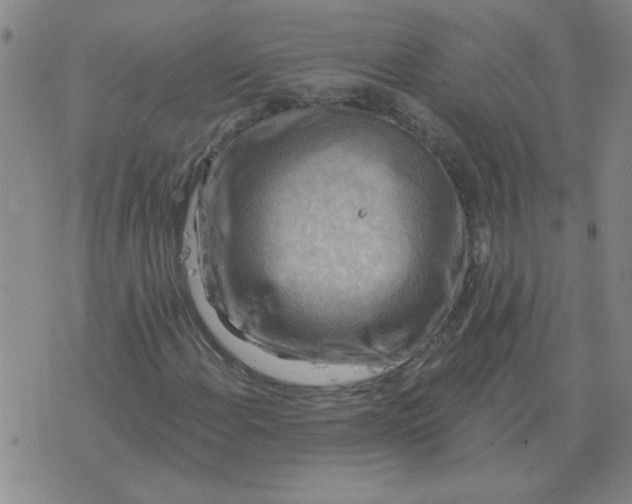 X0000074341108200609152115