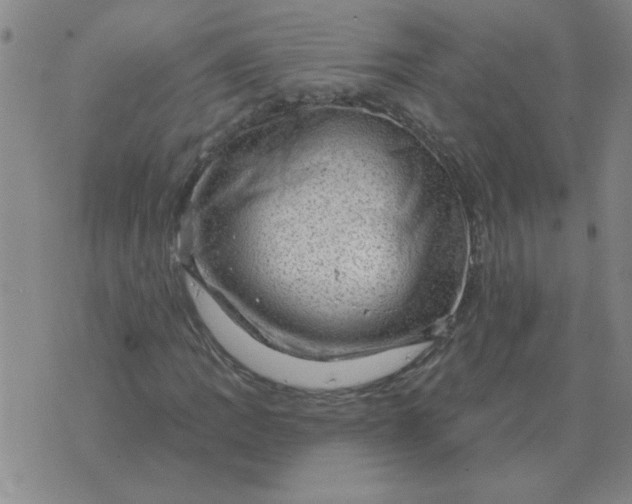 X0000074341109200609152115