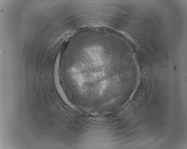 X0000074341110200609152115