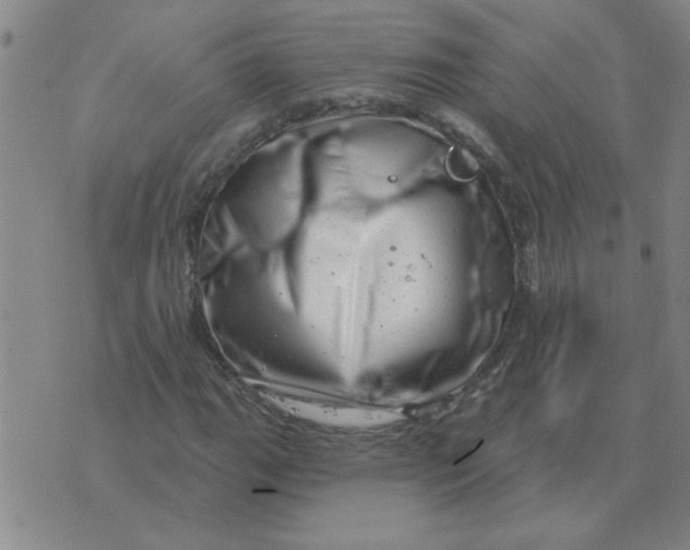 X0000074341111200609152115