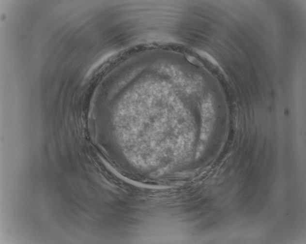 X0000074341112200609152115