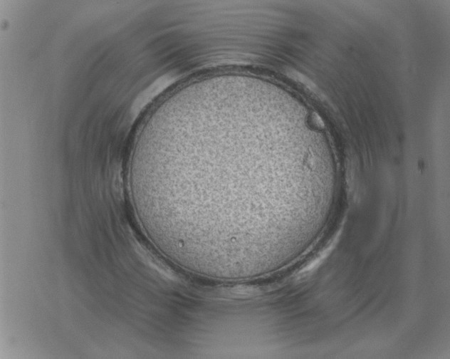 X0000074341113200609152115