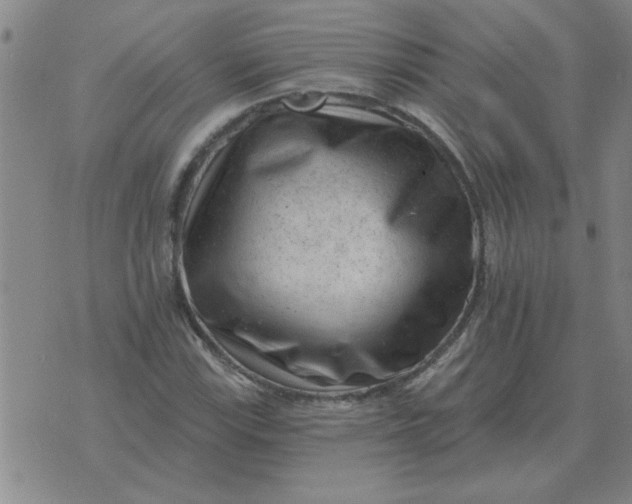 X0000074341115200609152115