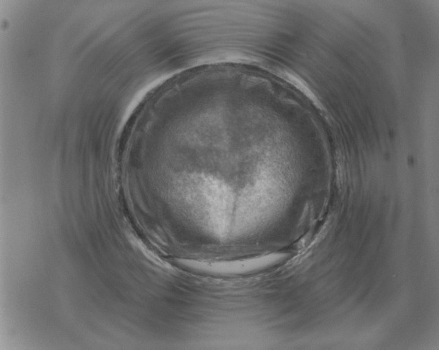 X0000074341116200609152115