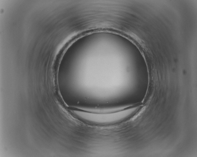 X0000074341118200609152115