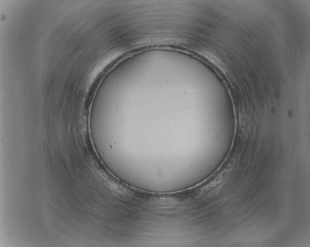 X0000074341119200609152115