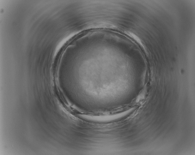 X0000074341120200609152115