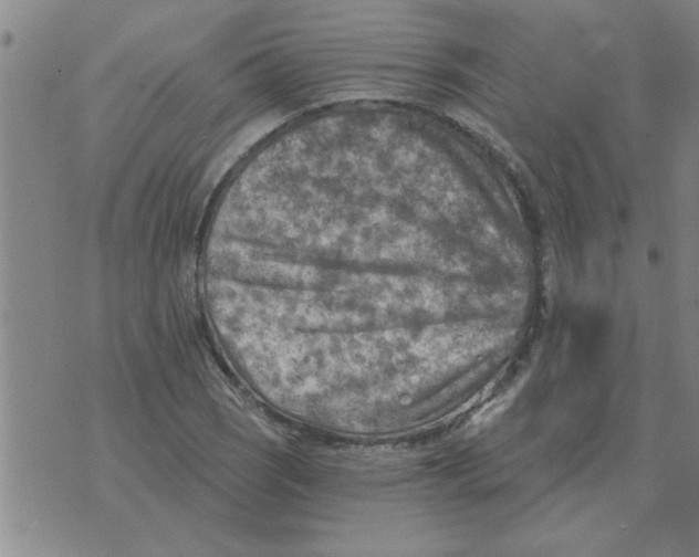 X0000074341121200609152115