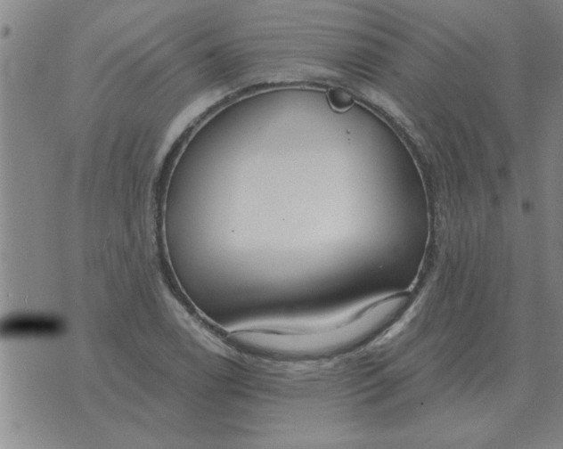 X0000074341122200609152115