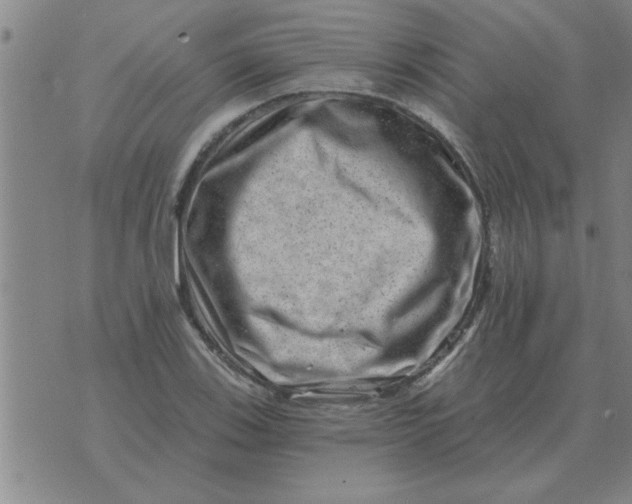 X0000074341123200609152115