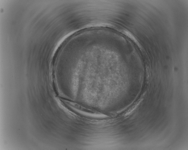 X0000074341124200609152115