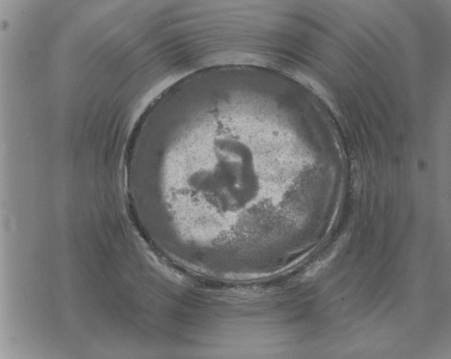 X0000074341125200609152115