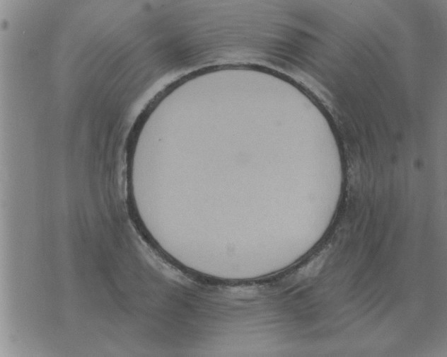 X0000074341126200609152115