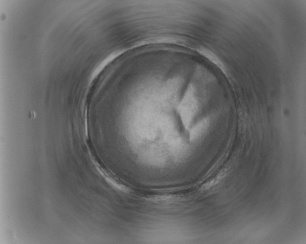 X0000074341127200609152115