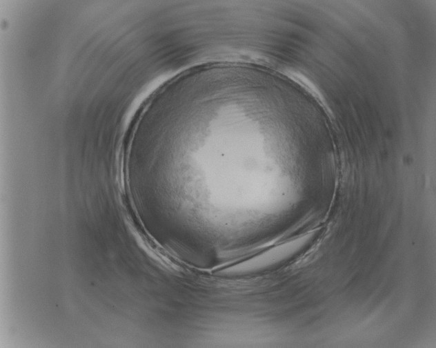 X0000074341128200609152115