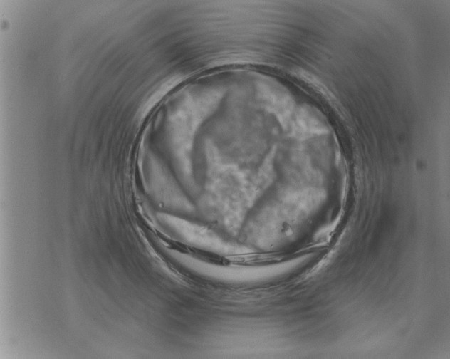 X0000074341129200609152115