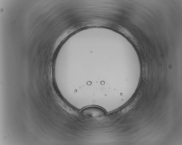 X0000074341130200609152115