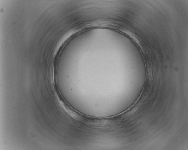 X0000074341131200609152115