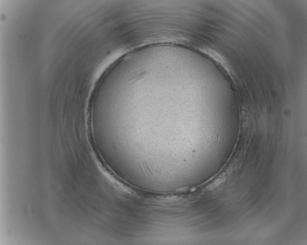 X0000074341135200609152115