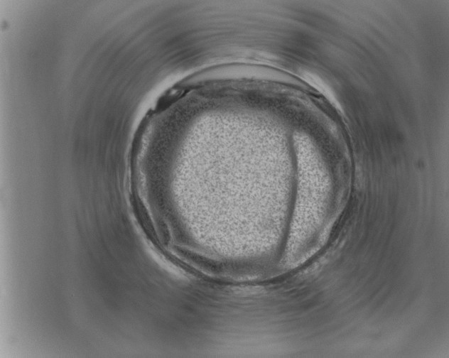 X0000074341136200609152115