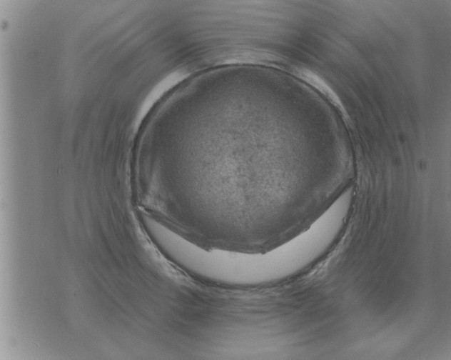 X0000074341138200609152115