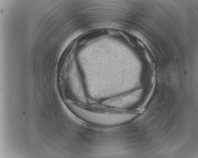 X0000074341139200609152115